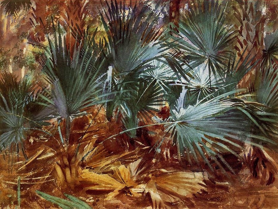 Wikioo.org - The Encyclopedia of Fine Arts - Painting, Artwork by John Singer Sargent - Palmettos