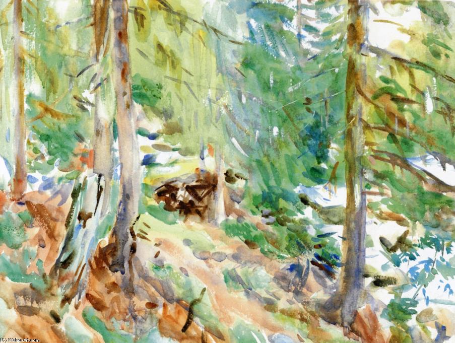 Wikioo.org - The Encyclopedia of Fine Arts - Painting, Artwork by John Singer Sargent - Val D'Aosta, Purtud