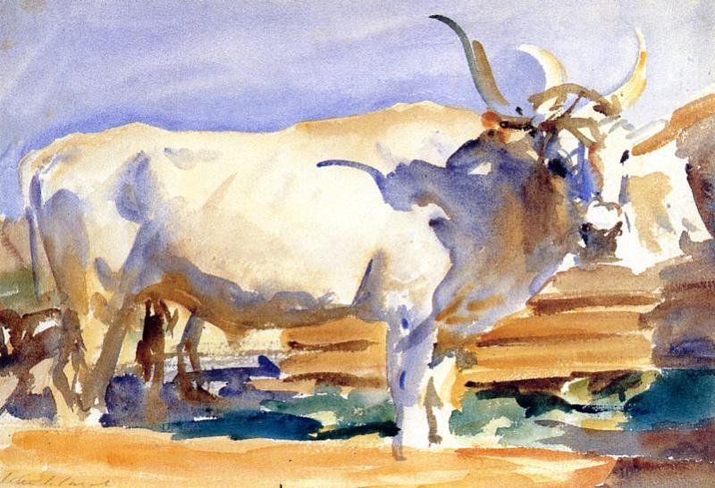 Wikioo.org - The Encyclopedia of Fine Arts - Painting, Artwork by John Singer Sargent - White Ox at Siena