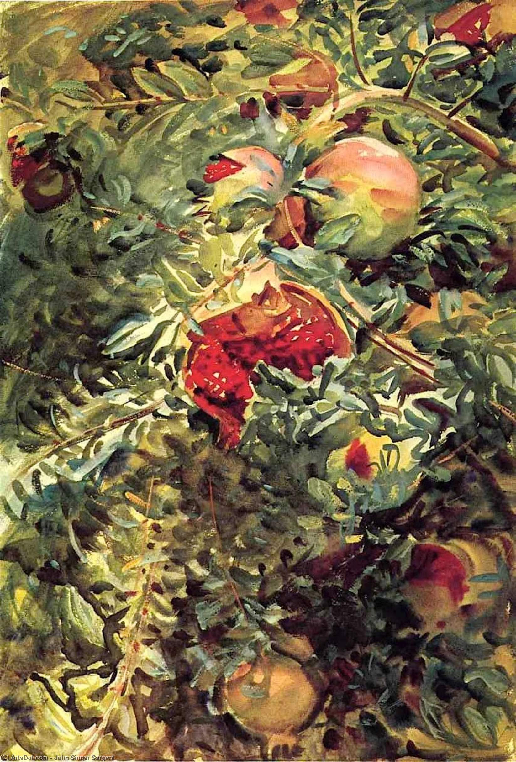 WikiOO.org - Encyclopedia of Fine Arts - Schilderen, Artwork John Singer Sargent - Pomegranates