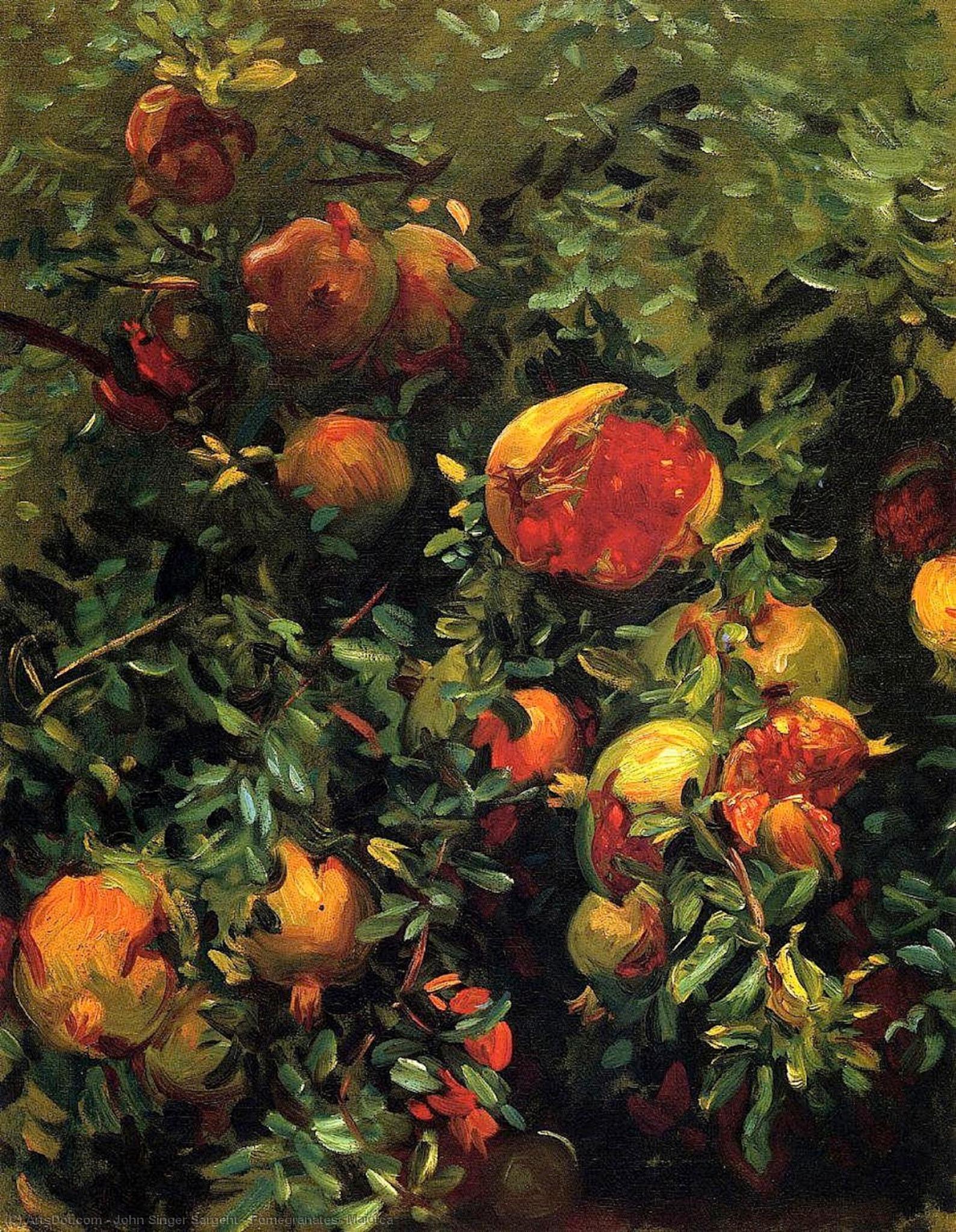 WikiOO.org - Encyclopedia of Fine Arts - Schilderen, Artwork John Singer Sargent - Pomegranates, Majorca