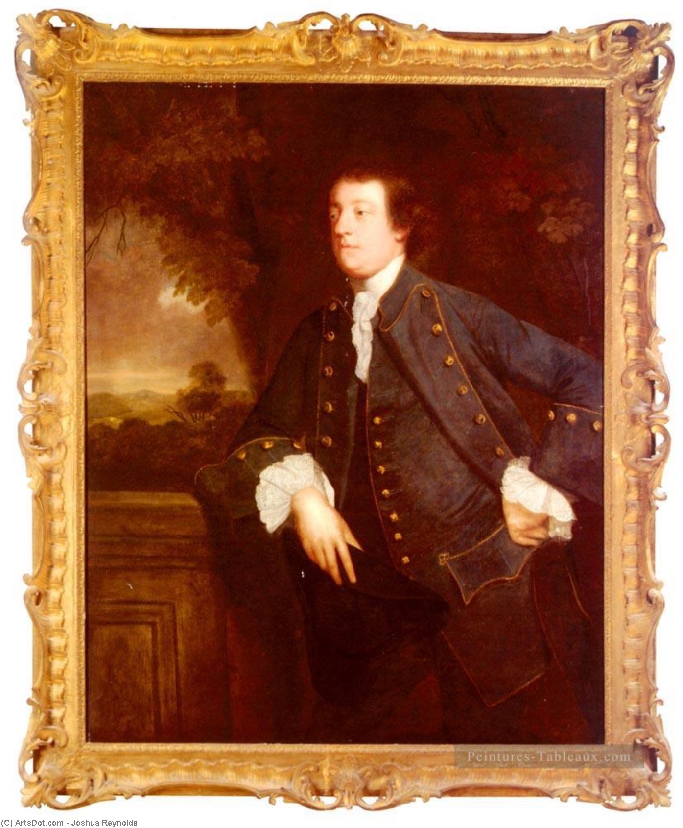 Wikioo.org - The Encyclopedia of Fine Arts - Painting, Artwork by Joshua Reynolds - Portrait of Sir William Lowther, 3rd BT