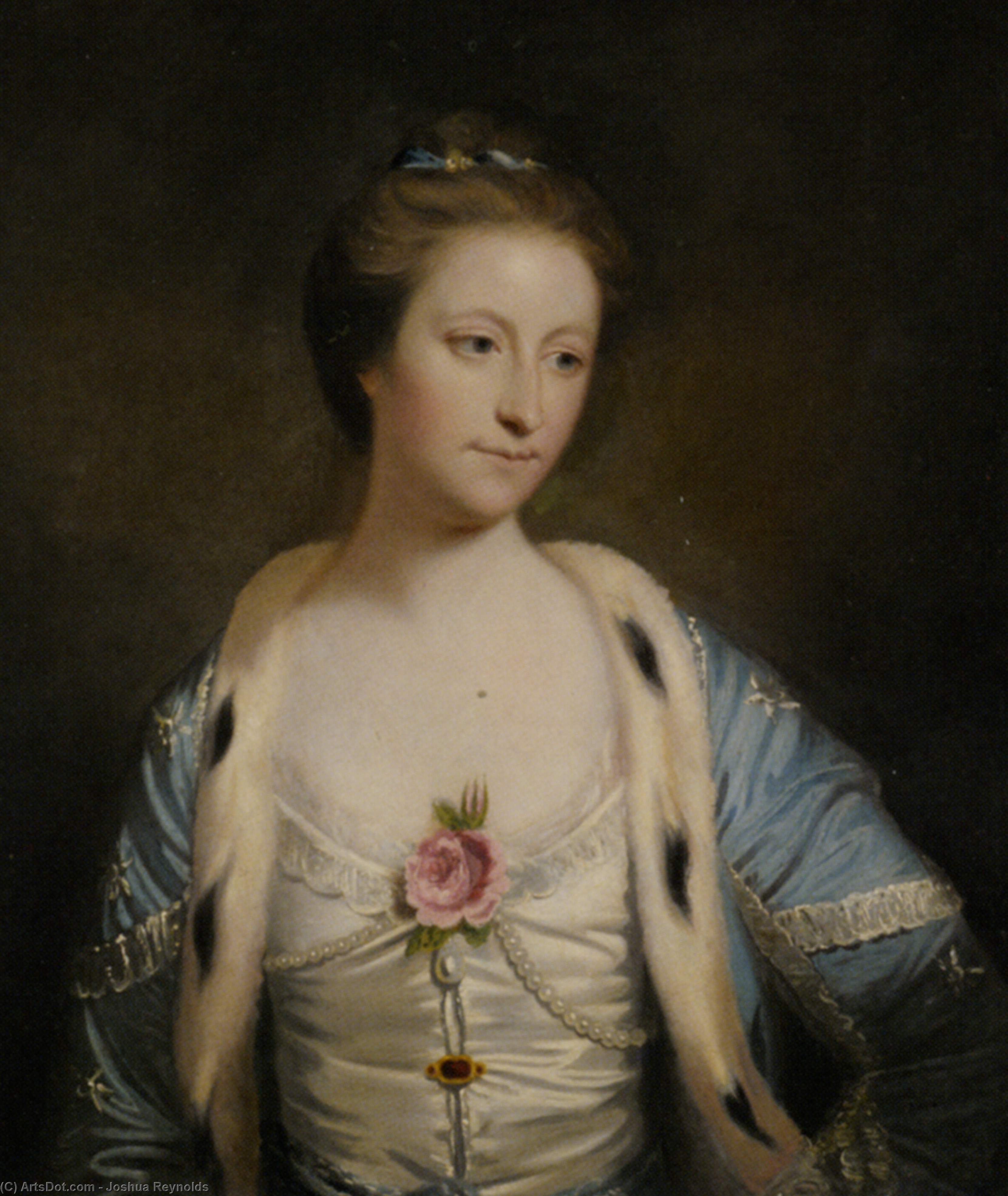 Wikioo.org - The Encyclopedia of Fine Arts - Painting, Artwork by Joshua Reynolds - Portrait of Mary Barnardiston