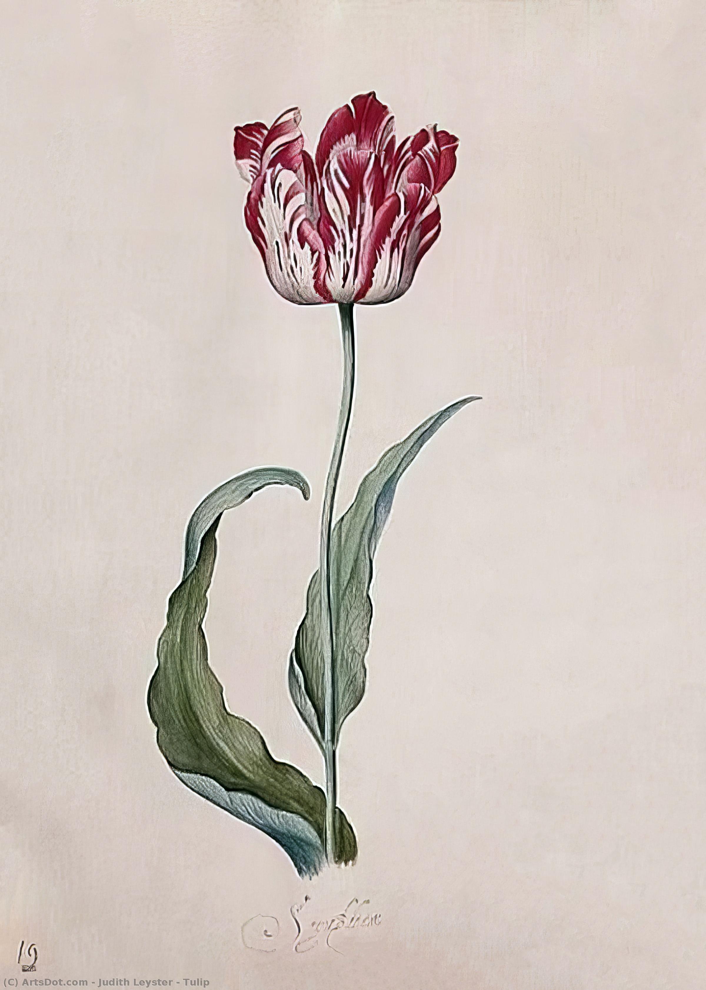WikiOO.org - Enciklopedija dailės - Tapyba, meno kuriniai Judith Leyster - Tulip