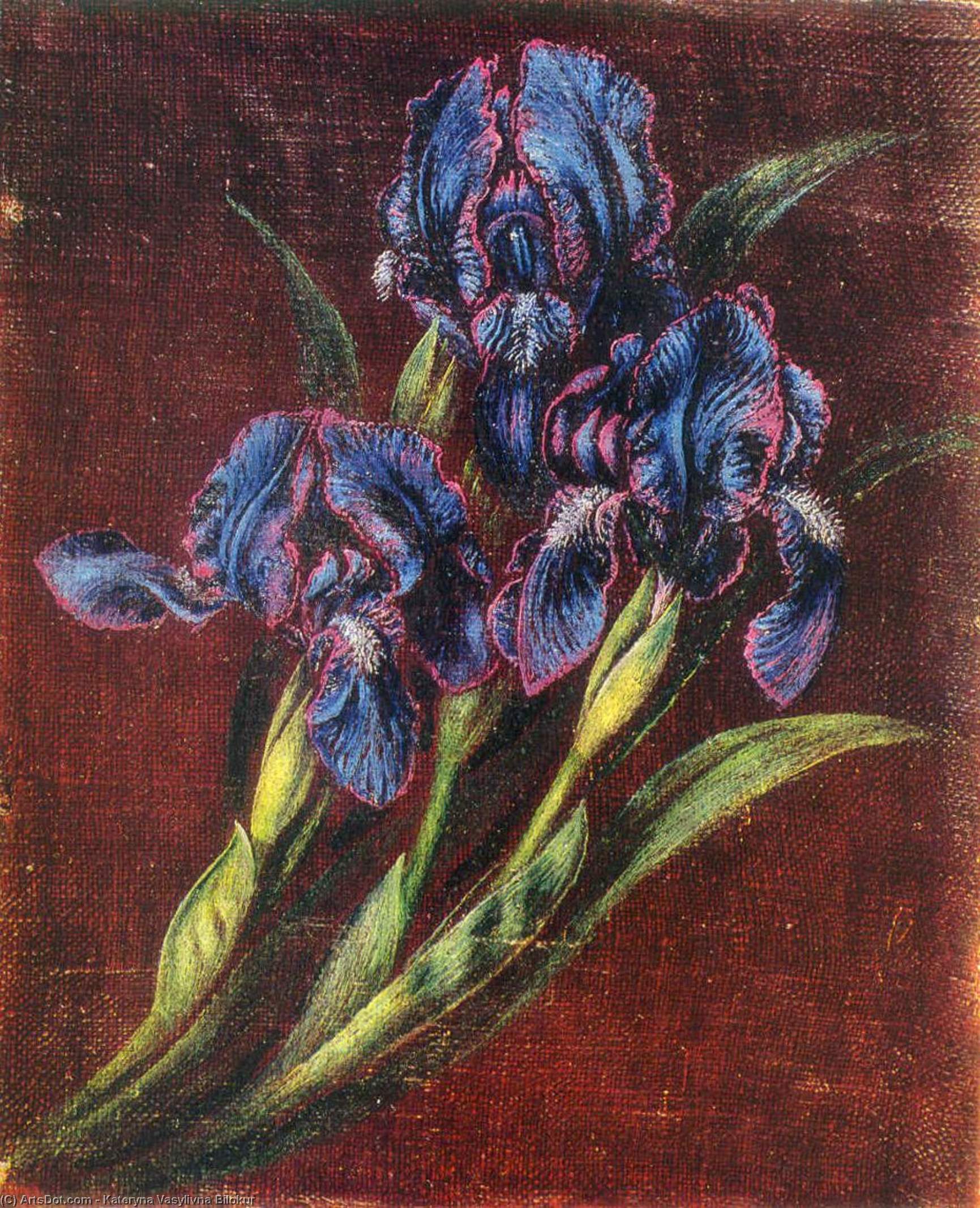 Wikioo.org - The Encyclopedia of Fine Arts - Painting, Artwork by Kateryna Vasylivna Bilokur - Irises