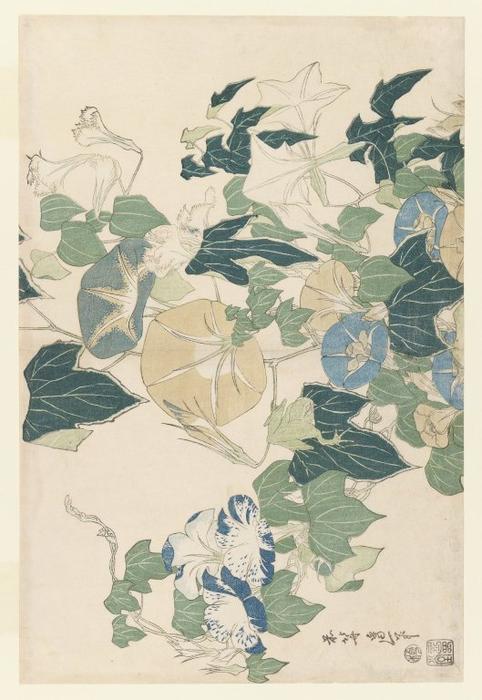 Wikioo.org - The Encyclopedia of Fine Arts - Painting, Artwork by Katsushika Hokusai - Morning Glories in Flowers and Buds