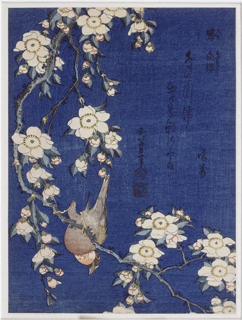Wikioo.org - The Encyclopedia of Fine Arts - Painting, Artwork by Katsushika Hokusai - Bullfinch and weeping cherry blossoms
