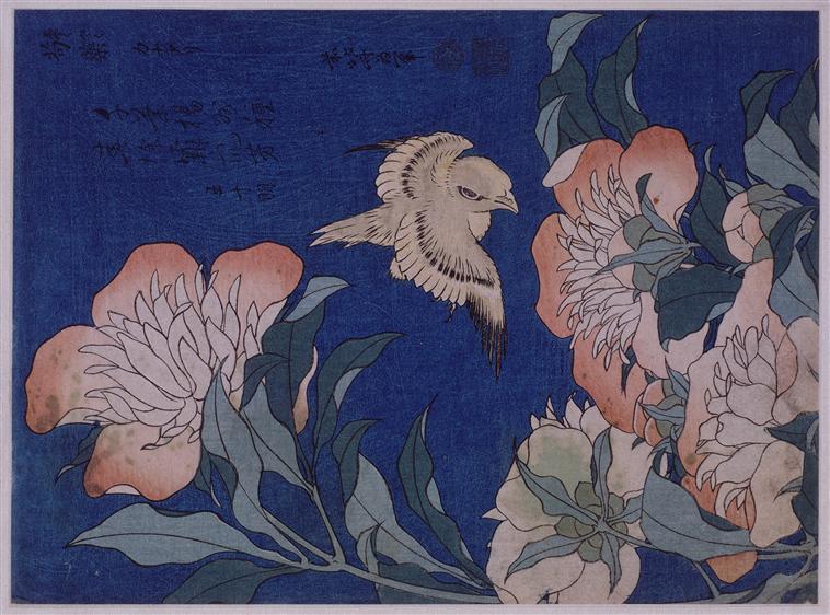 WikiOO.org - Енциклопедия за изящни изкуства - Живопис, Произведения на изкуството Katsushika Hokusai - Canary and Peony