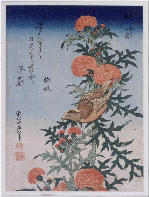 Wikioo.org - The Encyclopedia of Fine Arts - Painting, Artwork by Katsushika Hokusai - Crossbill and Thistle