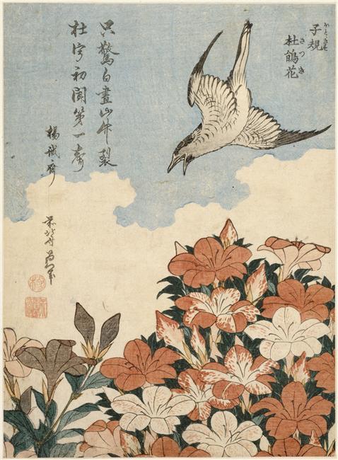 Wikioo.org - สารานุกรมวิจิตรศิลป์ - จิตรกรรม Katsushika Hokusai - Cuckoo and Azaleas