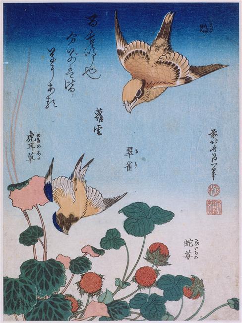 Wikioo.org - The Encyclopedia of Fine Arts - Painting, Artwork by Katsushika Hokusai - Swallow and begonia and strawberry pie 