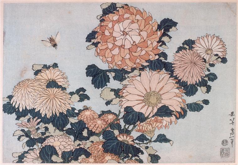 Wikioo.org - The Encyclopedia of Fine Arts - Painting, Artwork by Katsushika Hokusai - Chrysanthemums and Horsefly