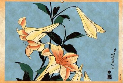 WikiOO.org - Енциклопедия за изящни изкуства - Живопис, Произведения на изкуството Katsushika Hokusai - Lilly