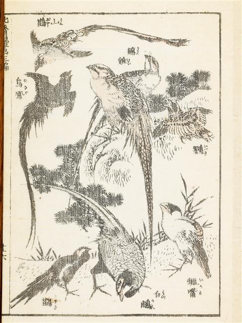 Wikioo.org - The Encyclopedia of Fine Arts - Painting, Artwork by Katsushika Hokusai - Manga (8)