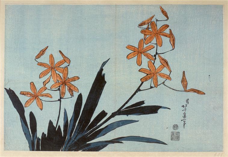 WikiOO.org - Enciklopedija dailės - Tapyba, meno kuriniai Katsushika Hokusai - Orange orchids