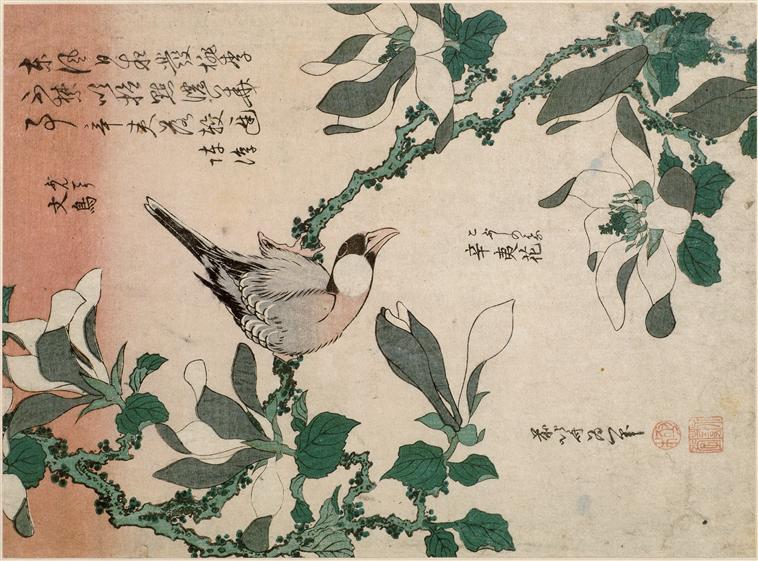WikiOO.org - Enciclopédia das Belas Artes - Pintura, Arte por Katsushika Hokusai - Sparrow and magnolia