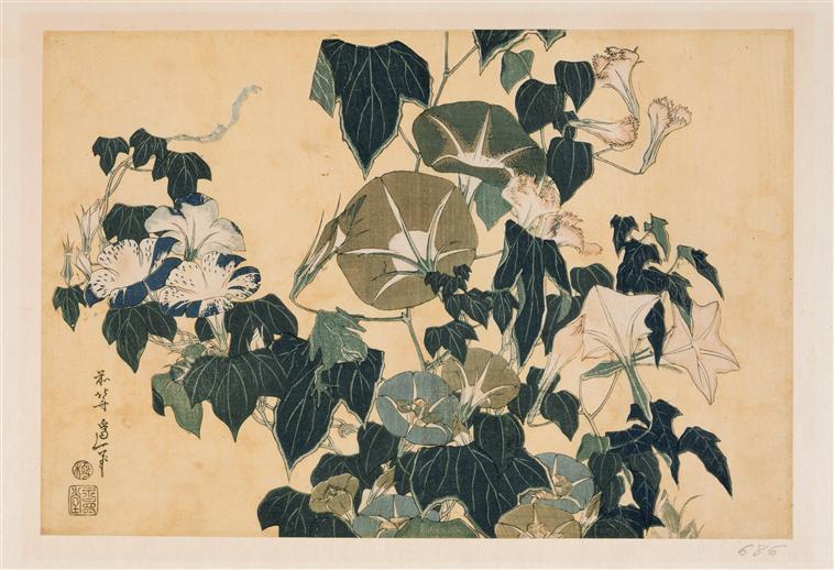 WikiOO.org - Енциклопедія образотворчого мистецтва - Живопис, Картини
 Katsushika Hokusai - Volubilism and Pippin