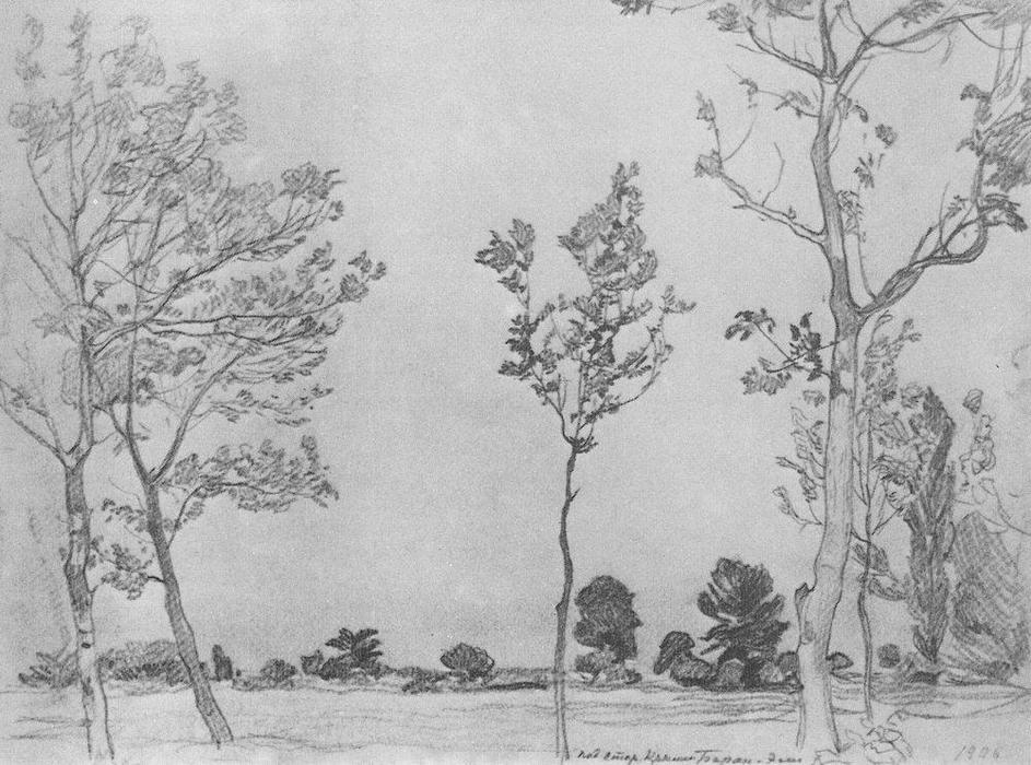 Wikioo.org - Bách khoa toàn thư về mỹ thuật - Vẽ tranh, Tác phẩm nghệ thuật Konstantin Fyodorovich Bogaevsky - Trees in Baran-Eli