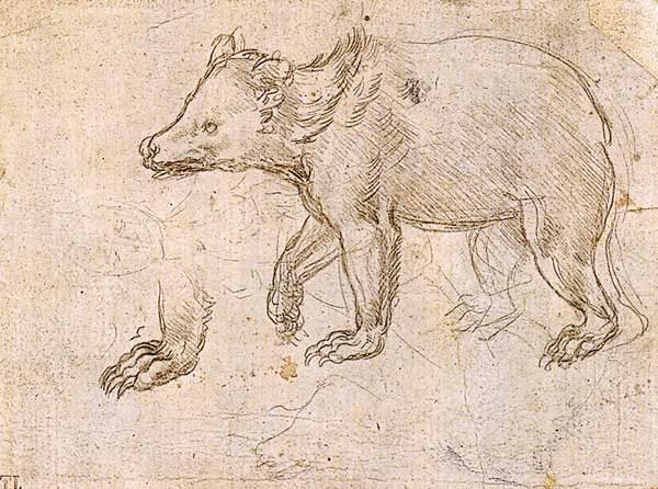 Wikioo.org - The Encyclopedia of Fine Arts - Painting, Artwork by Leonardo Da Vinci - Studies of a BeWalking
