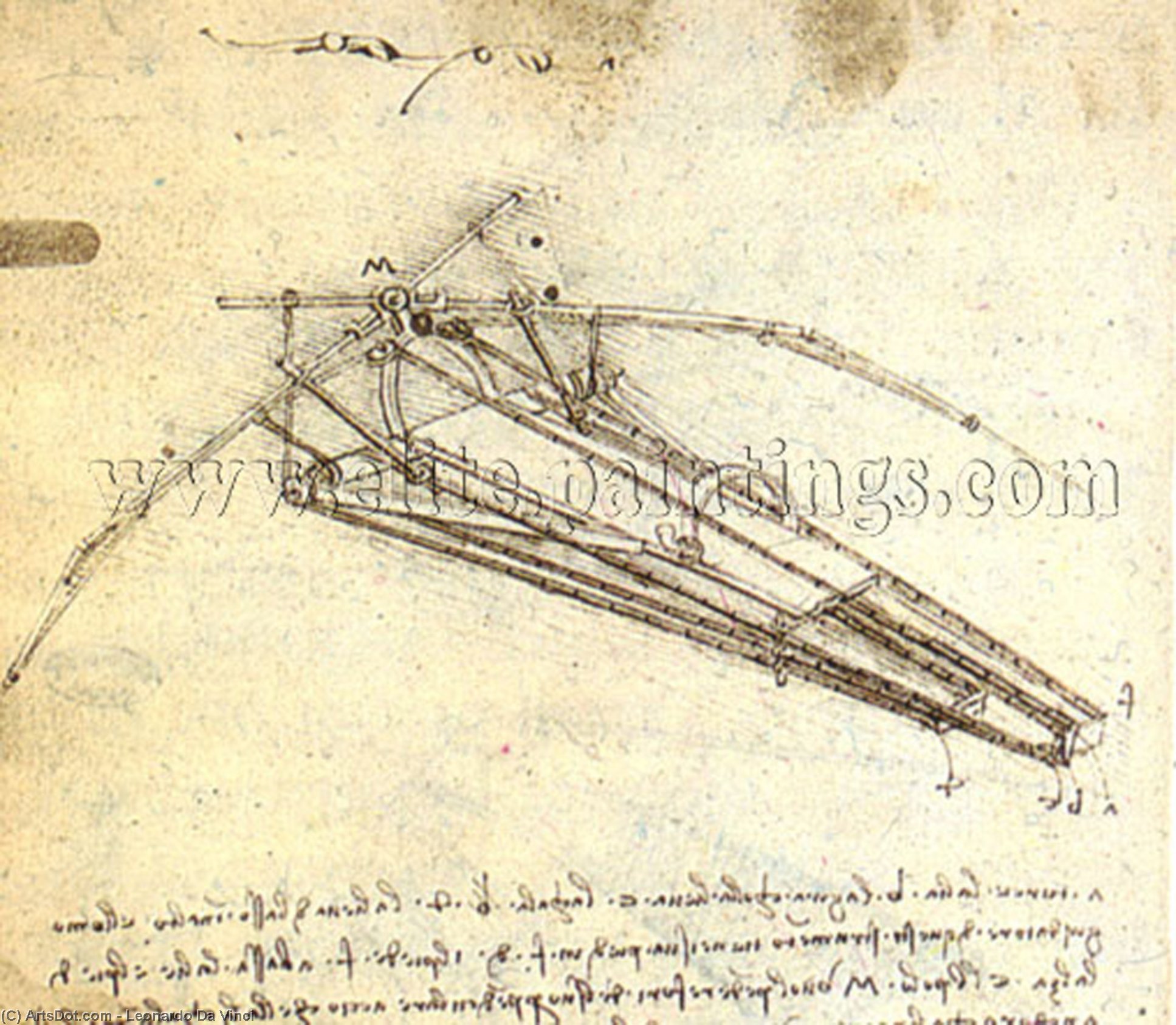 Wikioo.org - The Encyclopedia of Fine Arts - Painting, Artwork by Leonardo Da Vinci - One of Leonardo da Vinci's designs for an Ornithopter