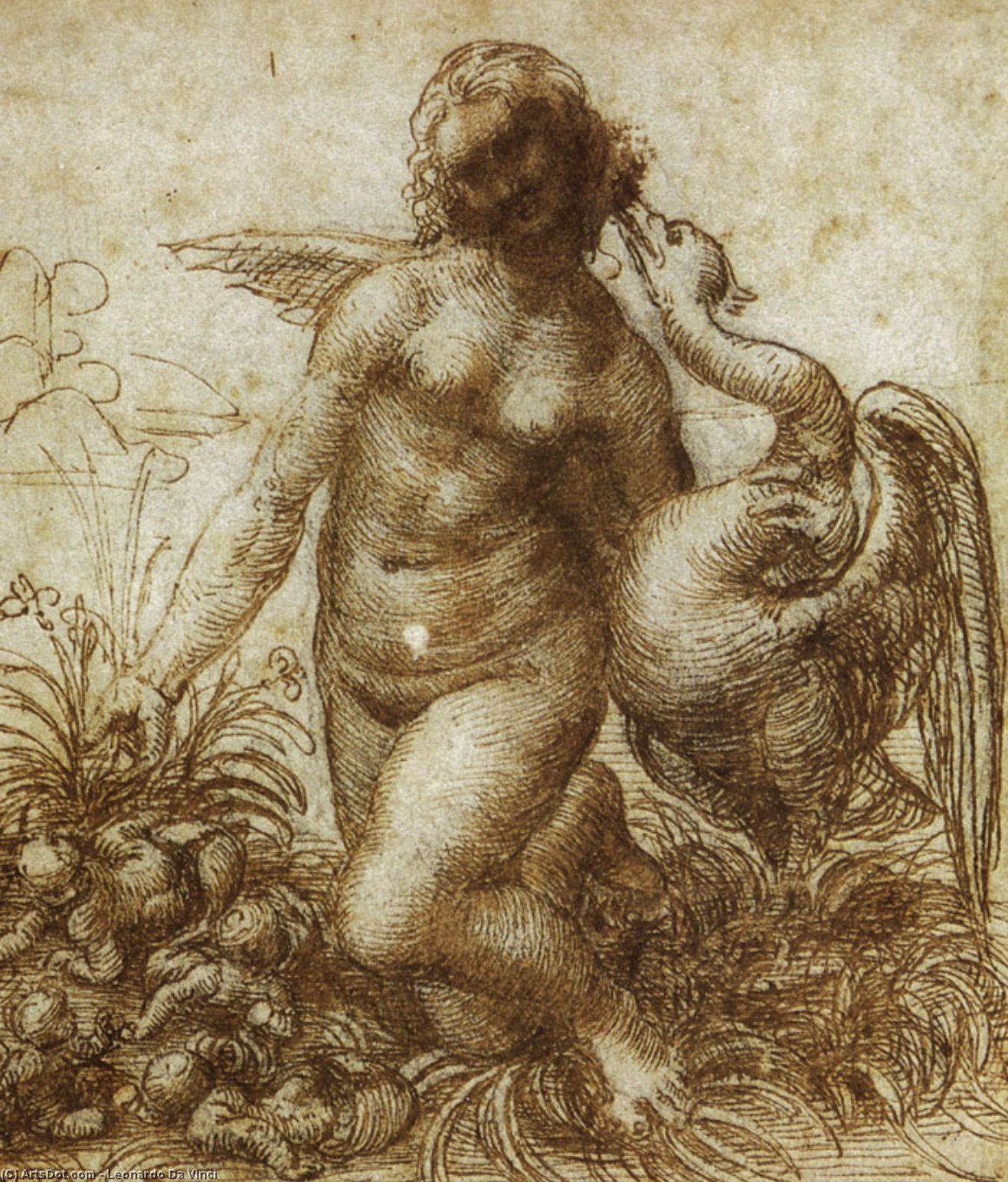 Wikioo.org - The Encyclopedia of Fine Arts - Painting, Artwork by Leonardo Da Vinci - Study for the Kneeling Leda