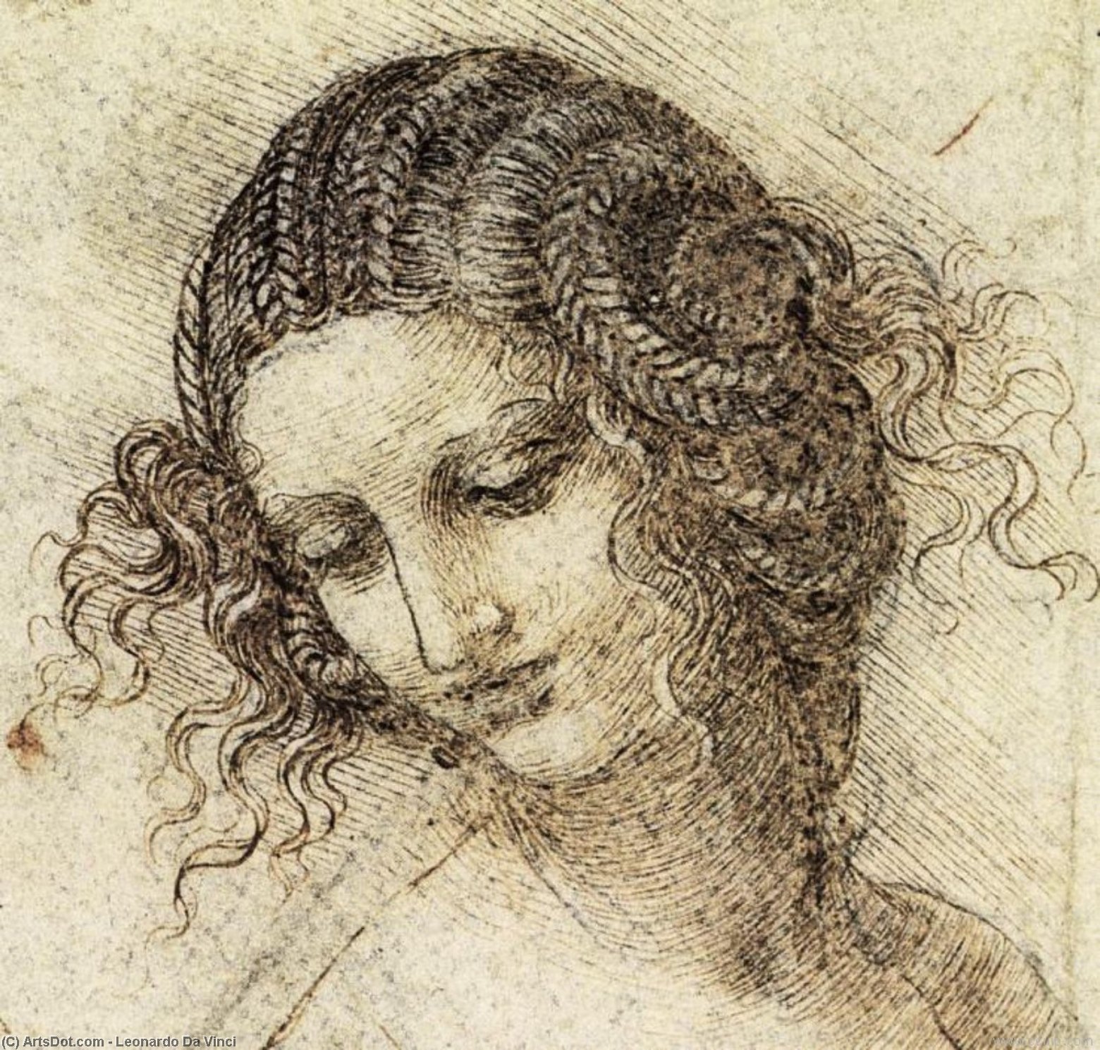Wikioo.org – La Enciclopedia de las Bellas Artes - Pintura, Obras de arte de Leonardo Da Vinci - estudio para la Cabeza  todaclasede  ADEL
