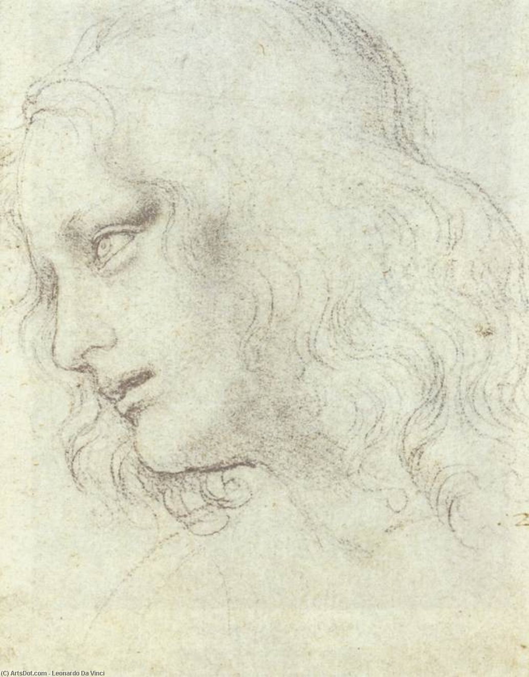 WikiOO.org - Encyclopedia of Fine Arts - Lukisan, Artwork Leonardo Da Vinci - Study for the Last Supper: James