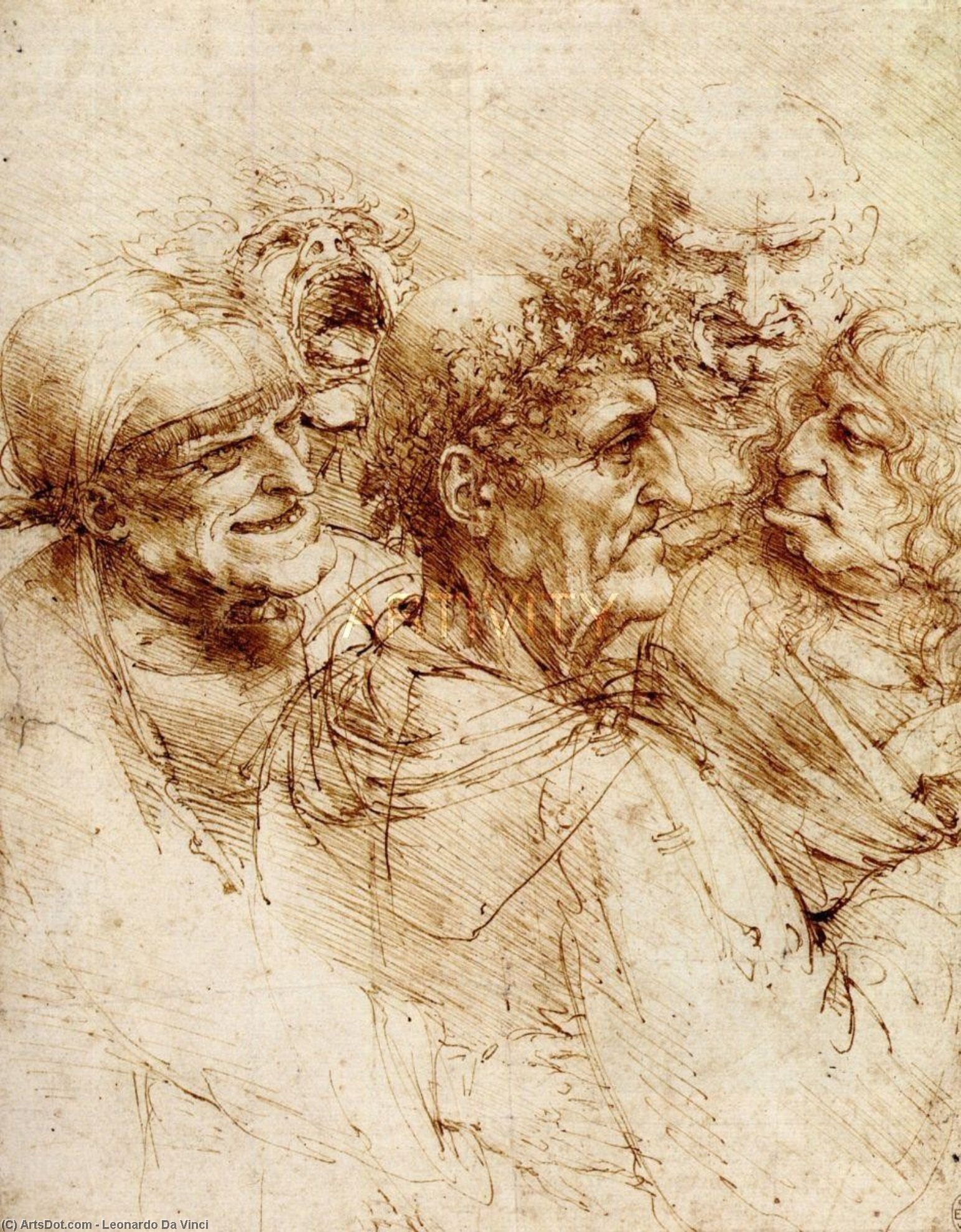 Wikioo.org – L'Encyclopédie des Beaux Arts - Peinture, Oeuvre de Leonardo Da Vinci - étude des cinq  grotesques  têtes