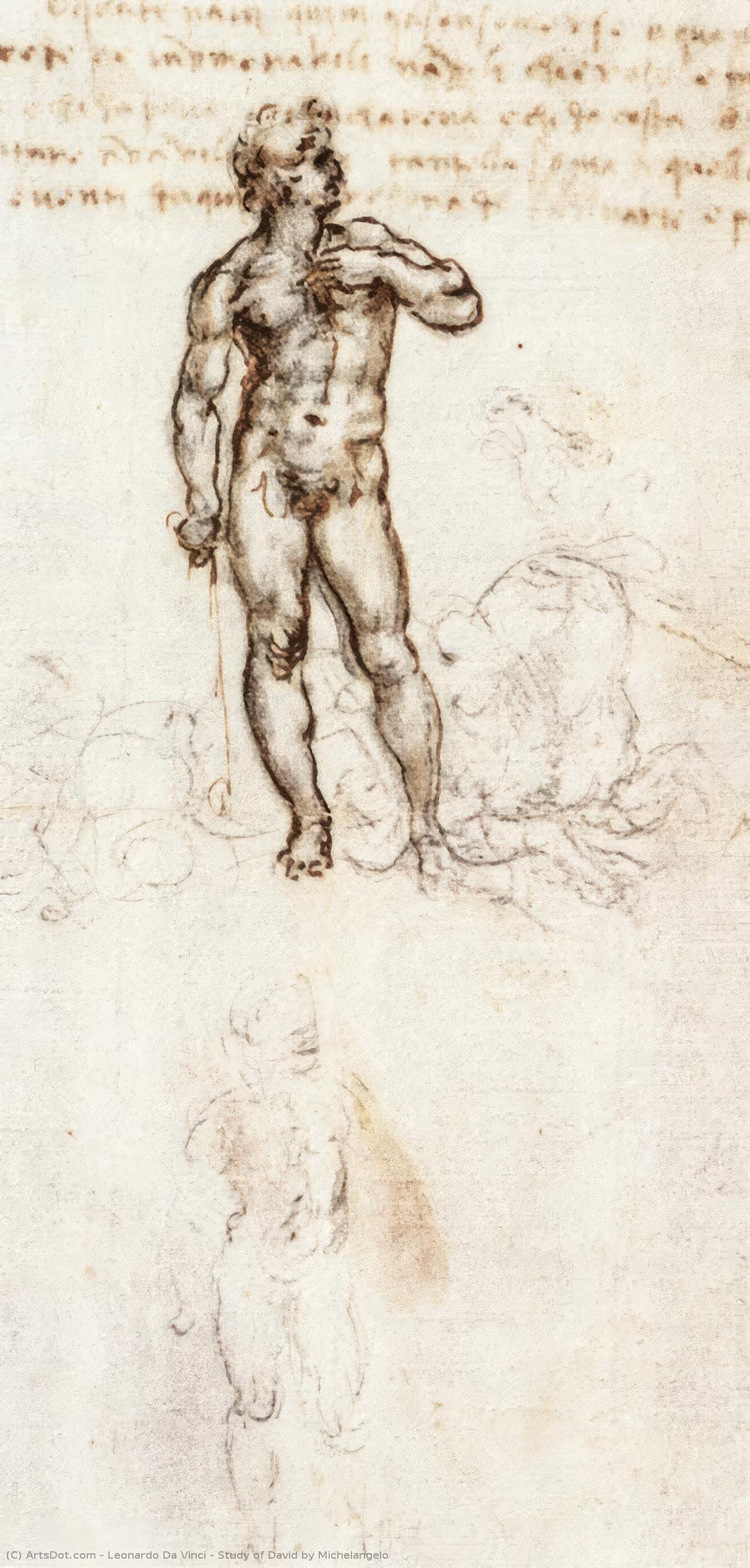 WikiOO.org - Enciklopedija likovnih umjetnosti - Slikarstvo, umjetnička djela Leonardo Da Vinci - Study of David by Michelangelo