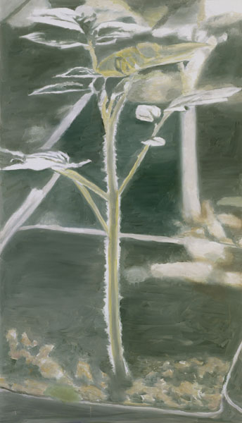 WikiOO.org - Encyclopedia of Fine Arts - Maľba, Artwork Luc Tuymans - Plant