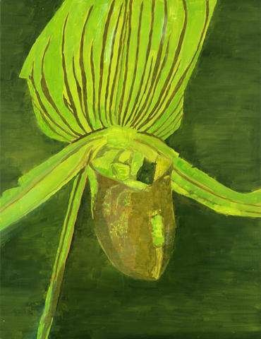 Wikioo.org - The Encyclopedia of Fine Arts - Painting, Artwork by Luc Tuymans - Orchid