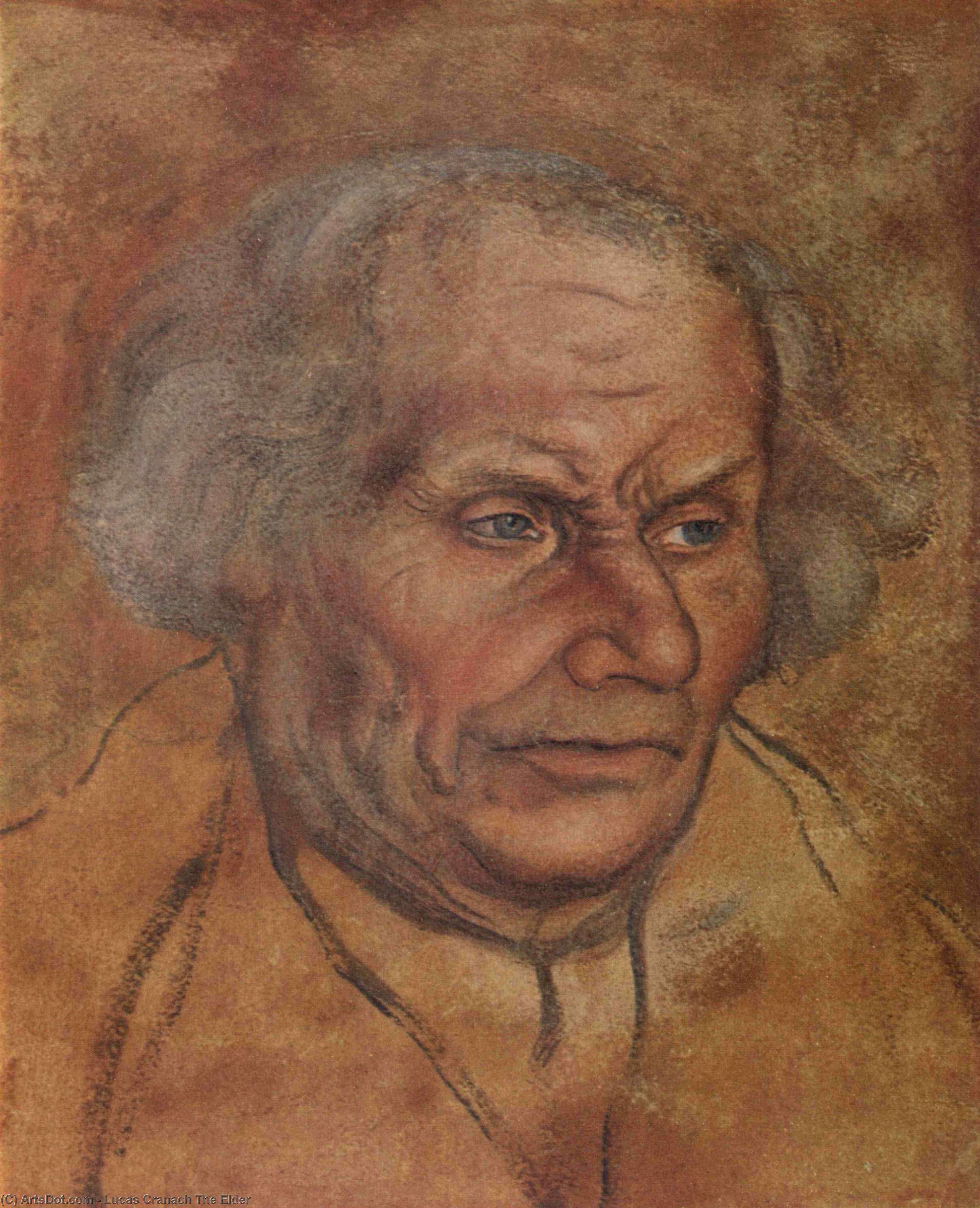 WikiOO.org – 美術百科全書 - 繪畫，作品 Lucas Cranach The Elder - 肖像 Luther's 父亲