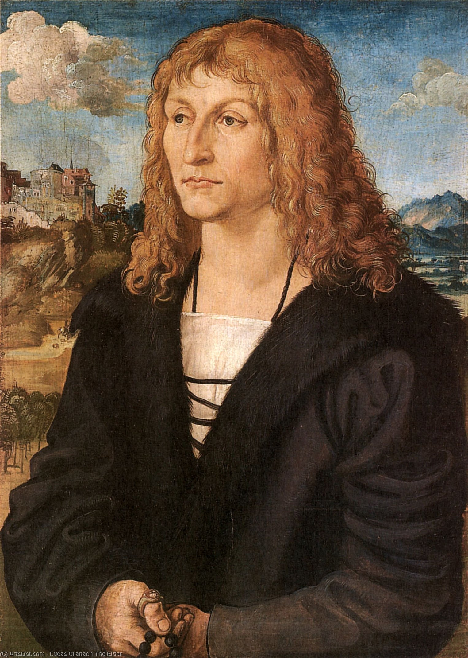 Wikioo.org - The Encyclopedia of Fine Arts - Painting, Artwork by Lucas Cranach The Elder - Beardless young man