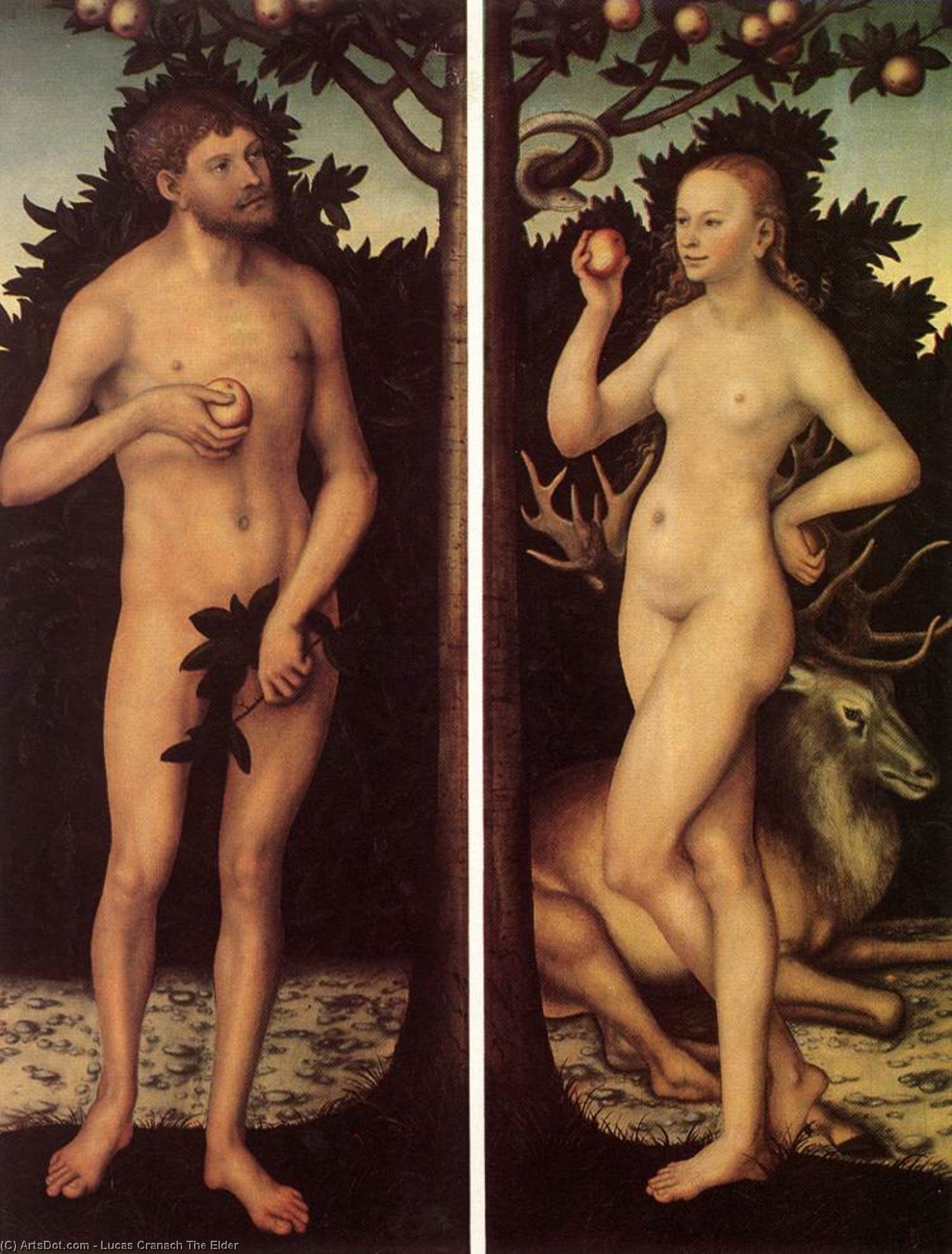 Wikioo.org - The Encyclopedia of Fine Arts - Painting, Artwork by Lucas Cranach The Elder - Adam and Eve (8)