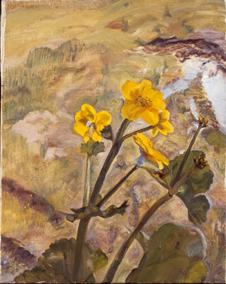 Wikioo.org - The Encyclopedia of Fine Arts - Painting, Artwork by Lucian Freud - Kingcups Souvenir of Glen Artney