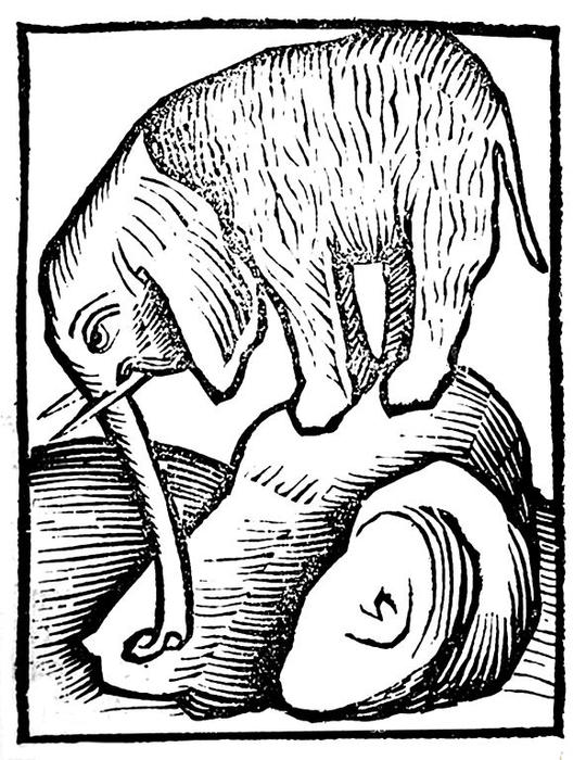 Wikioo.org – La Enciclopedia de las Bellas Artes - Pintura, Obras de arte de Martin Schongauer - Elefante en Hortus sanitatis