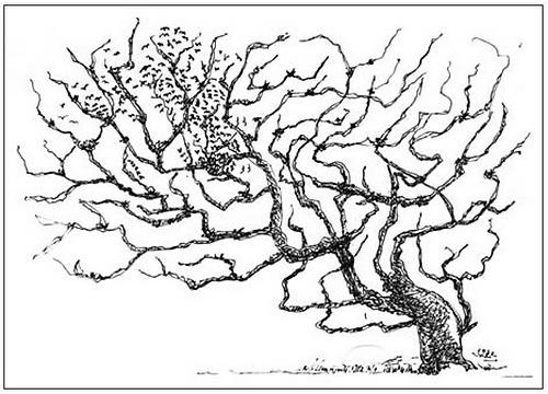 Wikioo.org – La Enciclopedia de las Bellas Artes - Pintura, Obras de arte de Martiros Saryan - a árbol