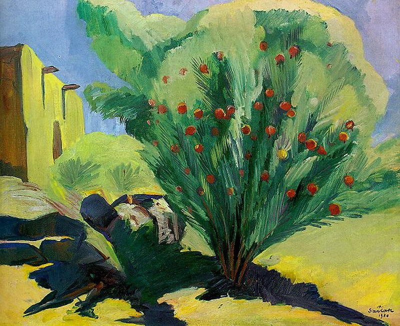 WikiOO.org - Encyclopedia of Fine Arts - Schilderen, Artwork Martiros Saryan - Pomegranate