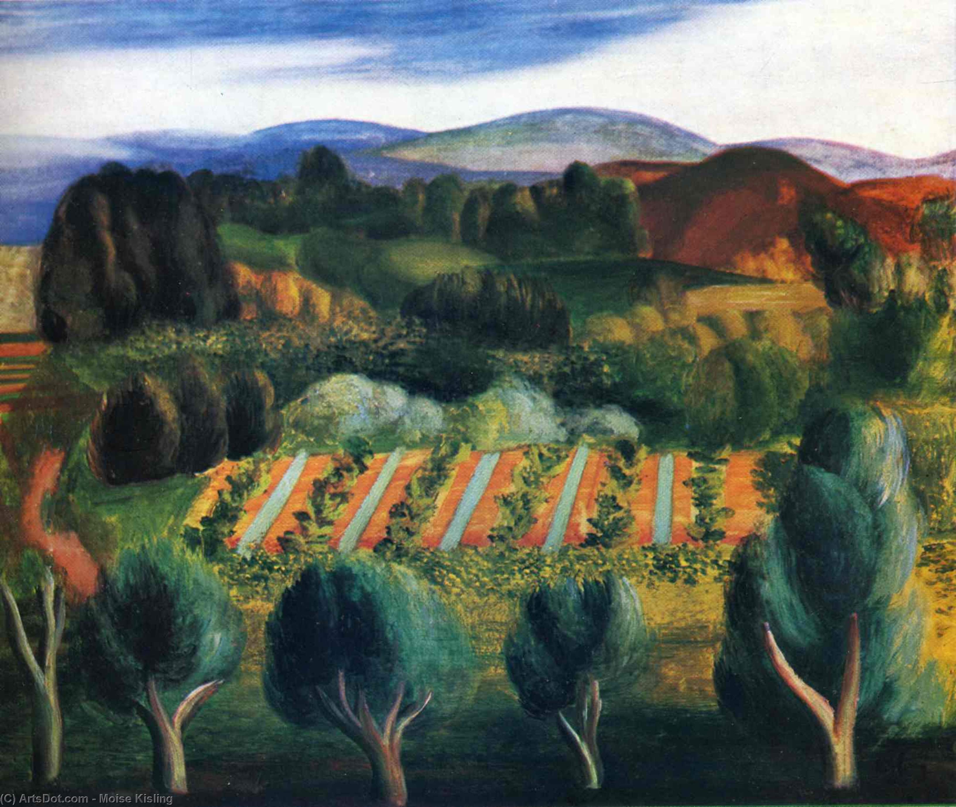 Wikioo.org - The Encyclopedia of Fine Arts - Painting, Artwork by Moise Kisling - Provence landscape
