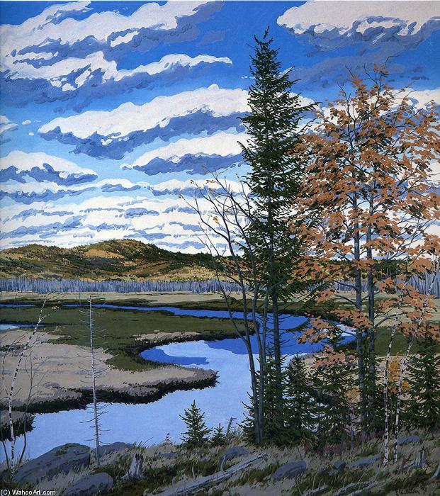 Wikioo.org - The Encyclopedia of Fine Arts - Painting, Artwork by Neil Gavin Welliver - Shadow on Brigg's Meadow