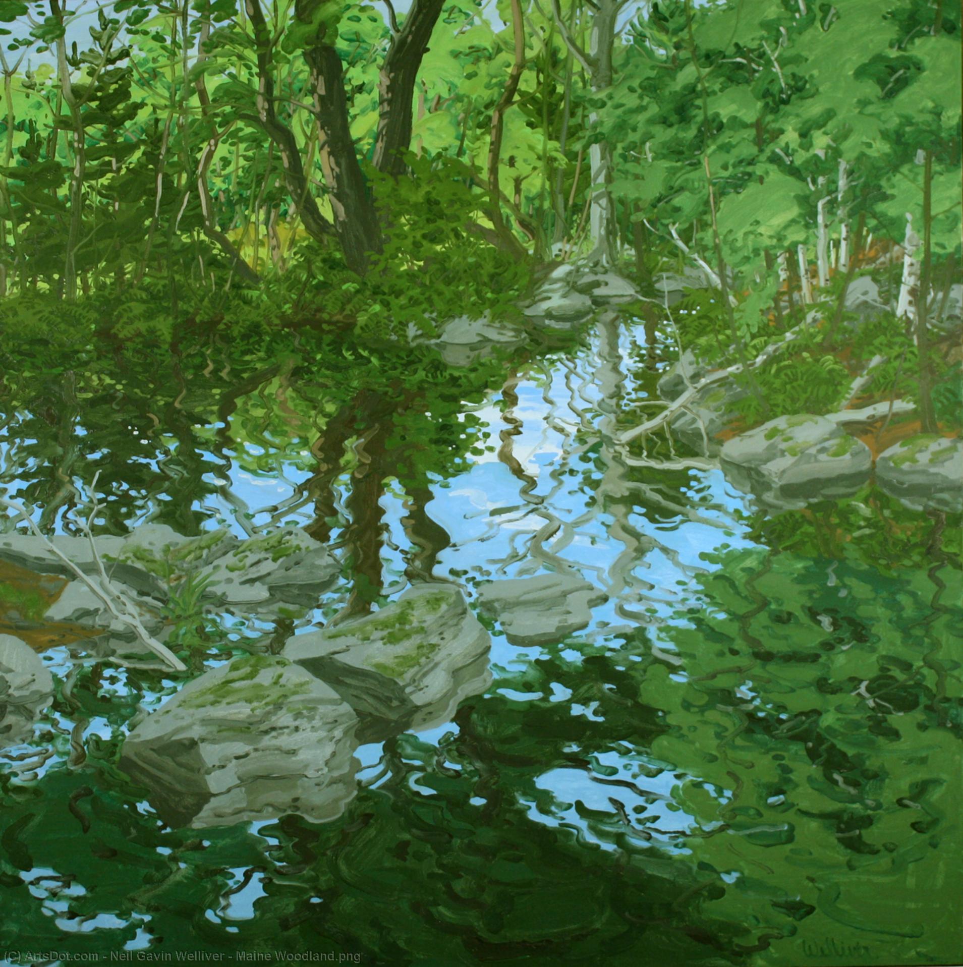 Wikioo.org - The Encyclopedia of Fine Arts - Painting, Artwork by Neil Gavin Welliver - Maine Woodland.png
