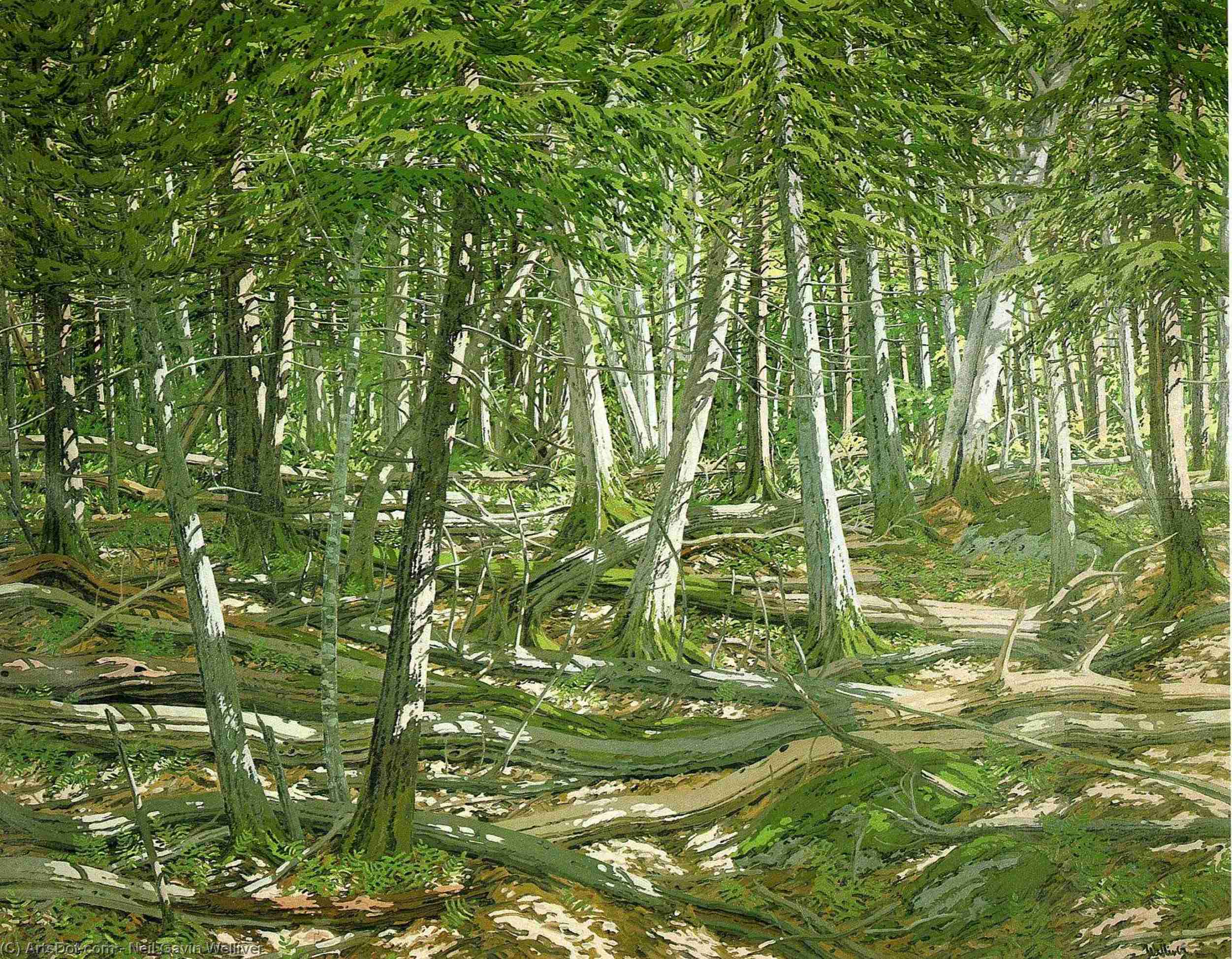 Wikioo.org - The Encyclopedia of Fine Arts - Painting, Artwork by Neil Gavin Welliver - Old Windfall