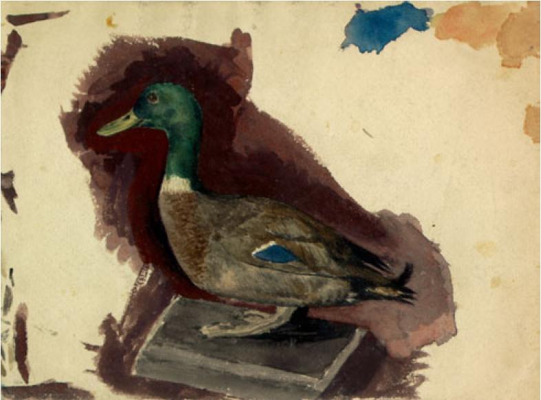 Wikioo.org - The Encyclopedia of Fine Arts - Painting, Artwork by Nicholas Roerich - Stuffed duck