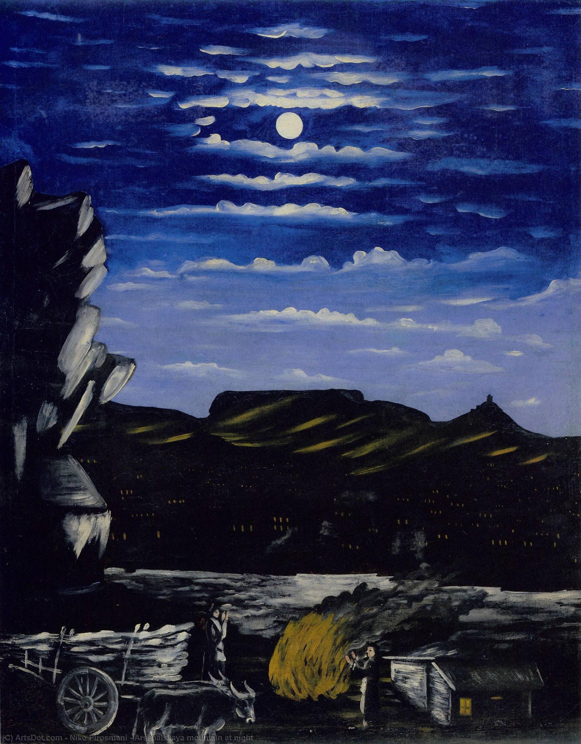 Wikioo.org - The Encyclopedia of Fine Arts - Painting, Artwork by Niko Pirosmani - Arsenalskaya mountain at night