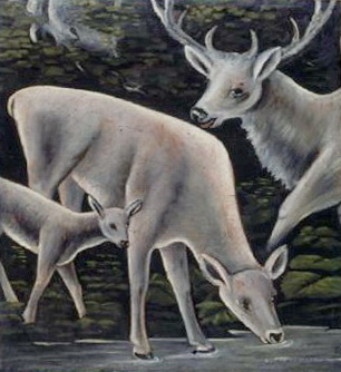 Wikioo.org - The Encyclopedia of Fine Arts - Painting, Artwork by Niko Pirosmani - Deer family at waterhole