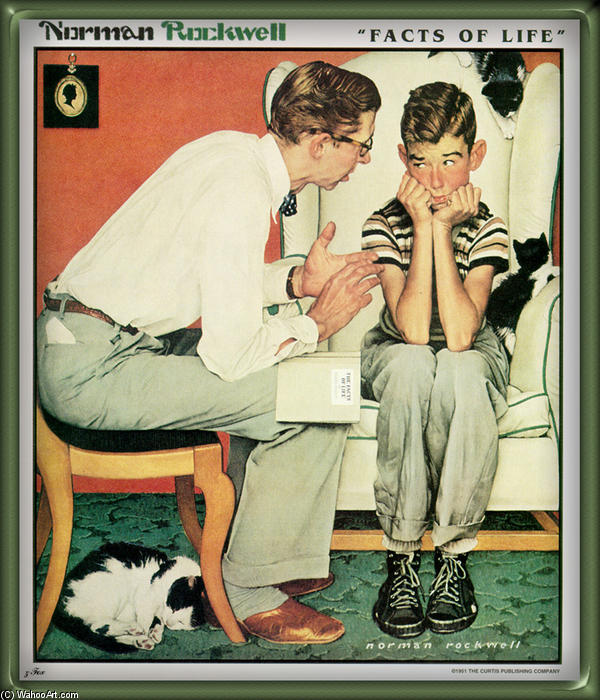 Wikioo.org - The Encyclopedia of Fine Arts - Painting, Artwork by Norman Rockwell - Facts Of Life