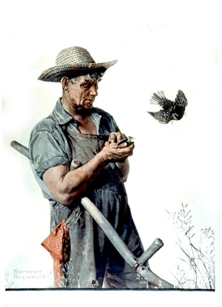 Wikioo.org - The Encyclopedia of Fine Arts - Painting, Artwork by Norman Rockwell - Farmer