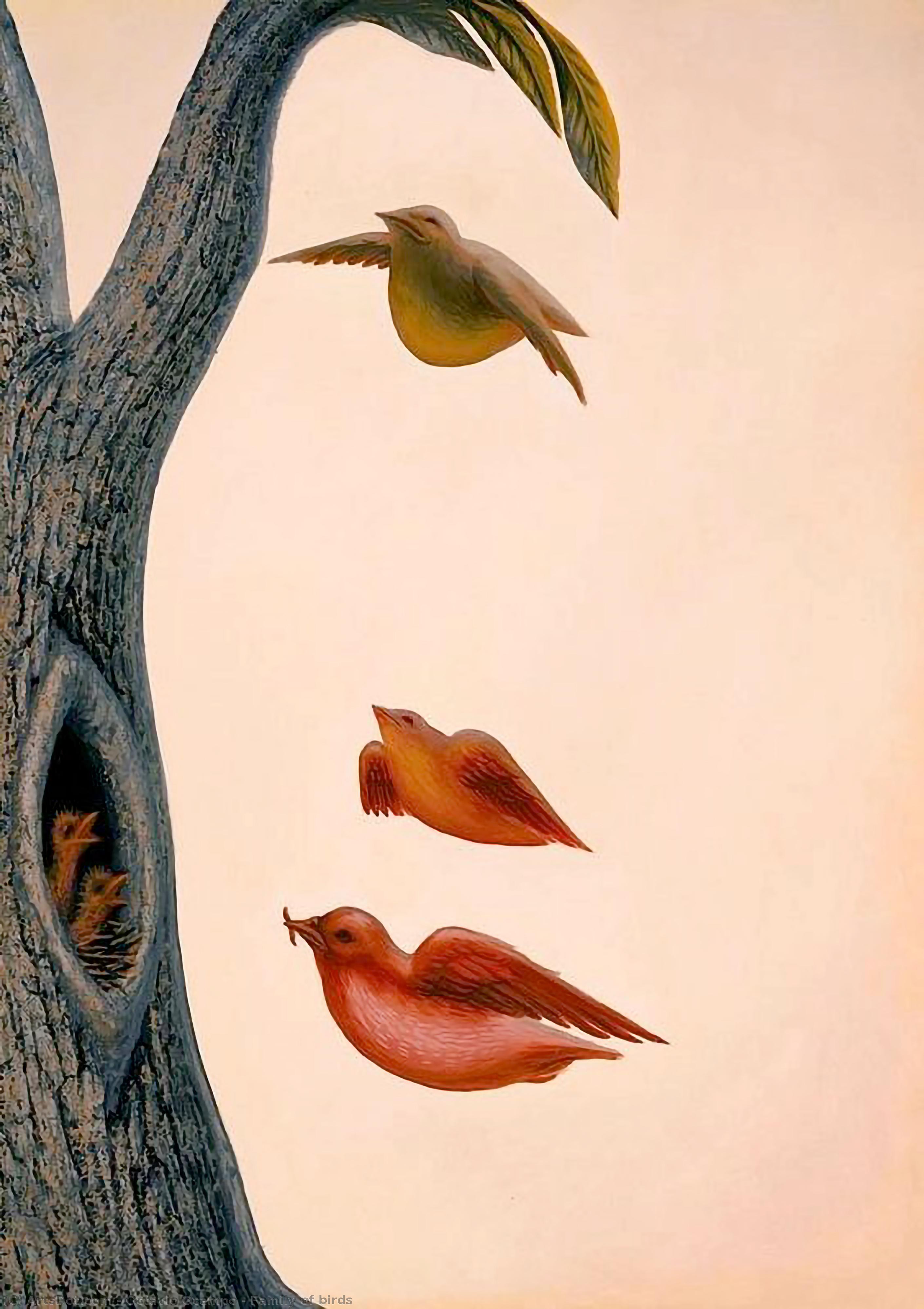 WikiOO.org - Güzel Sanatlar Ansiklopedisi - Resim, Resimler Octavio Ocampo - Family of birds