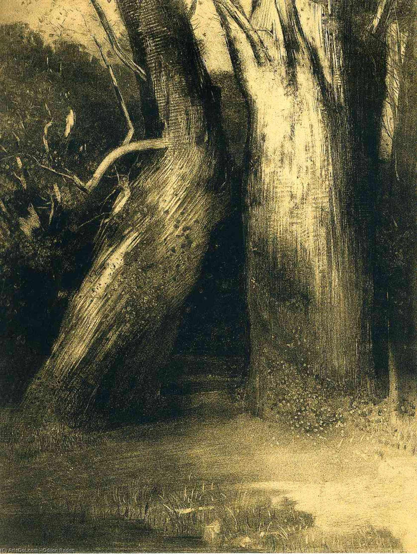 Wikioo.org - Bách khoa toàn thư về mỹ thuật - Vẽ tranh, Tác phẩm nghệ thuật Odilon Redon - Two trees