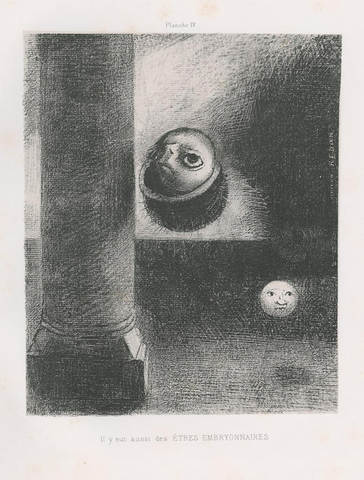 WikiOO.org - Encyclopedia of Fine Arts - Lukisan, Artwork Odilon Redon - There were also embryonic beings